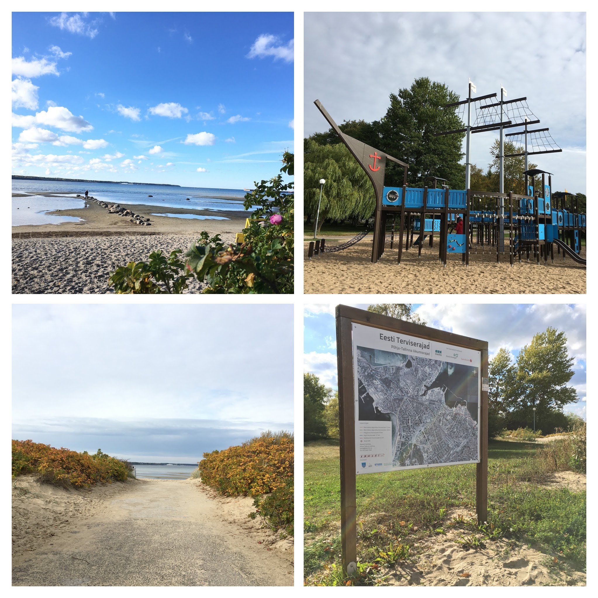  Aktiivõppeprogramm „Stroomi rannapark“