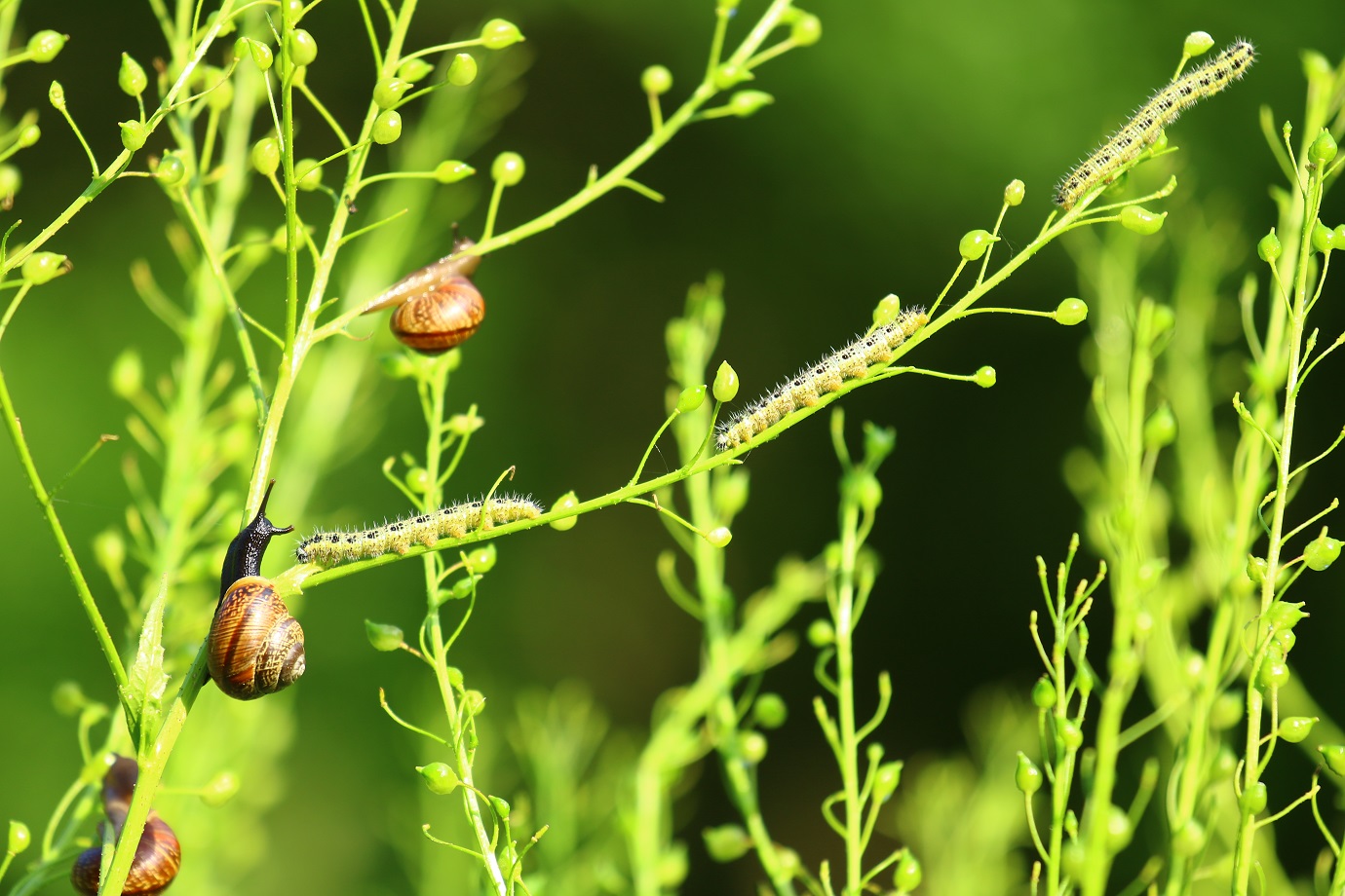 Grete Johanna Korb „Naabrid linnas pärast vihma“, I koht laste ja noorte kategoorias.