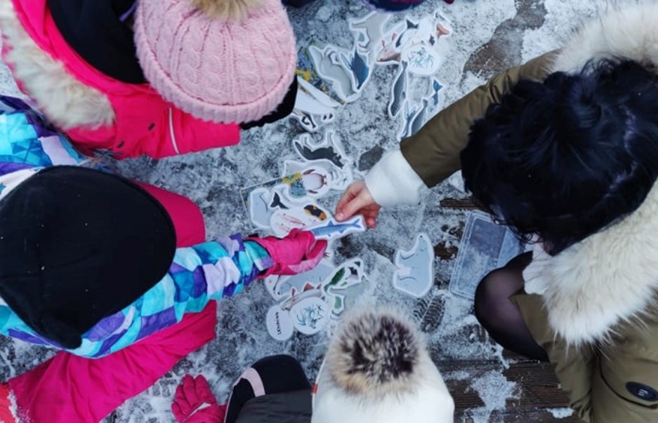 kliimamuutused ja polaarloomad