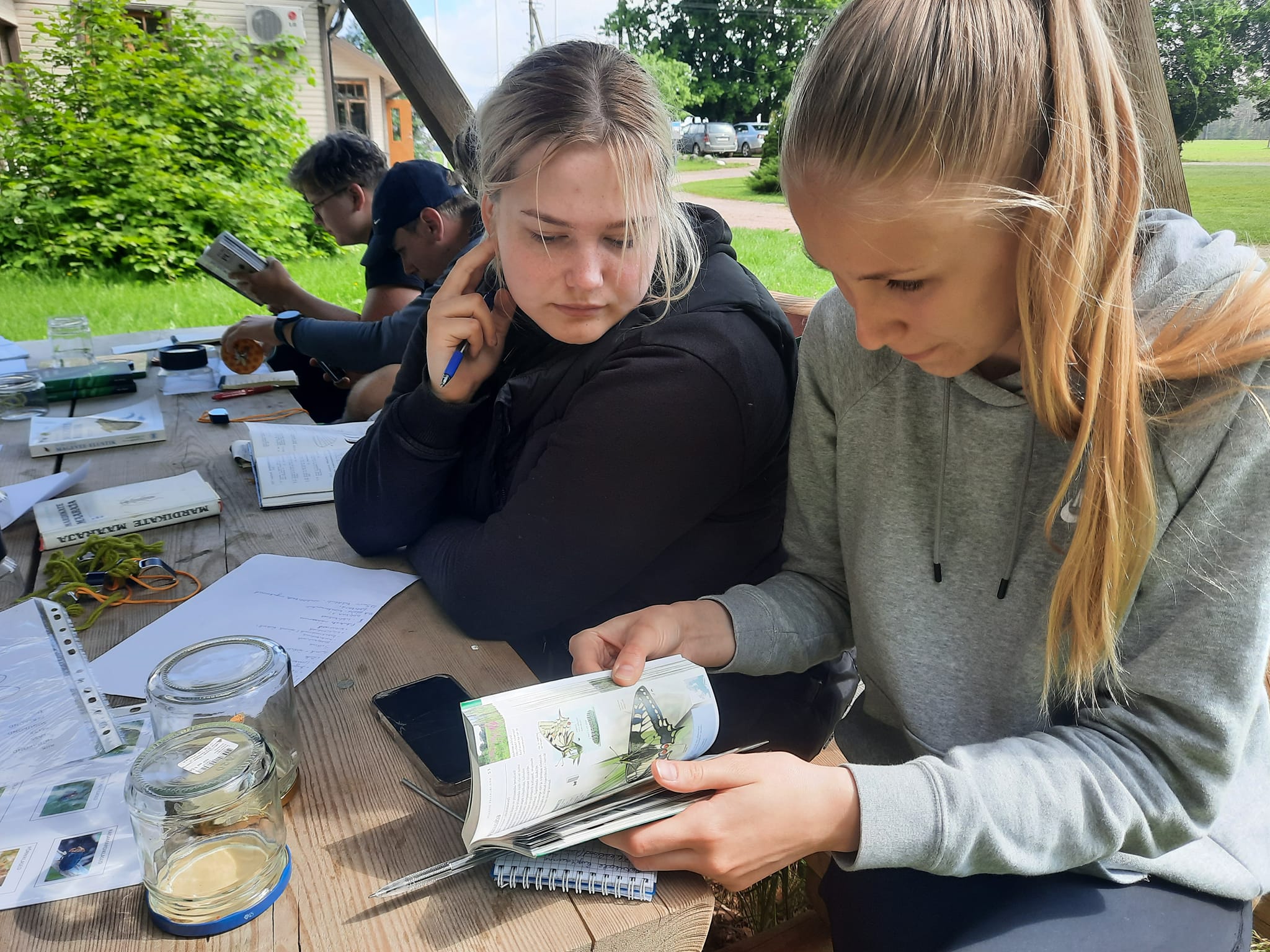 Õpilased määramas kinnipüütud putukaid