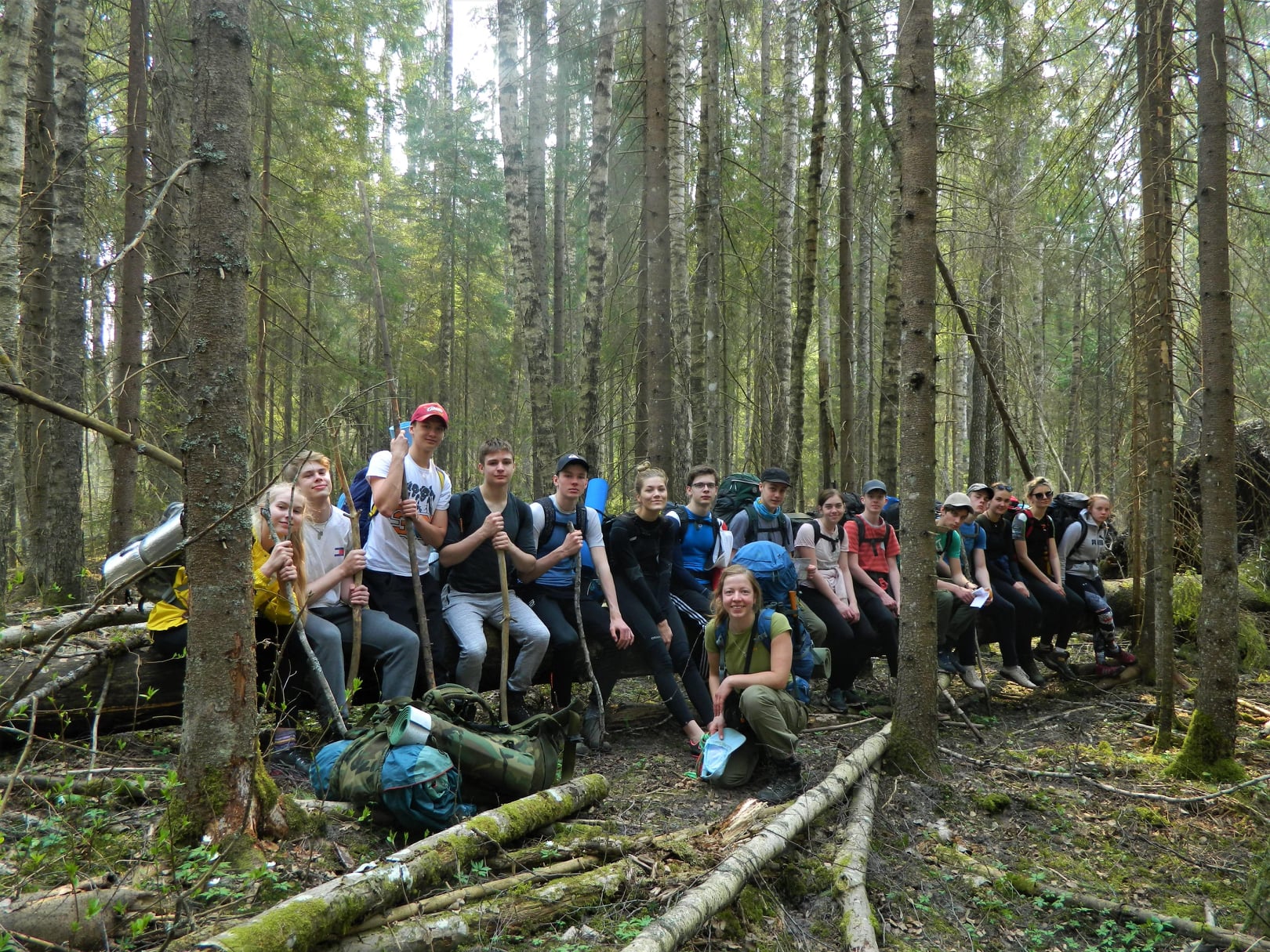 Matkagrupp istub metsas suure mahalangenud puu peal