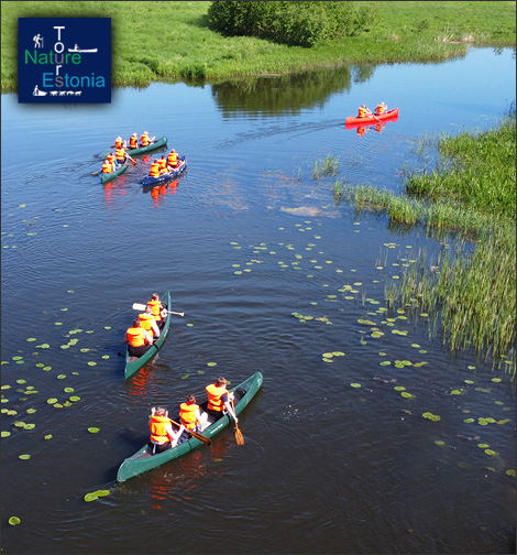 Kanuutamine Ahja jõel