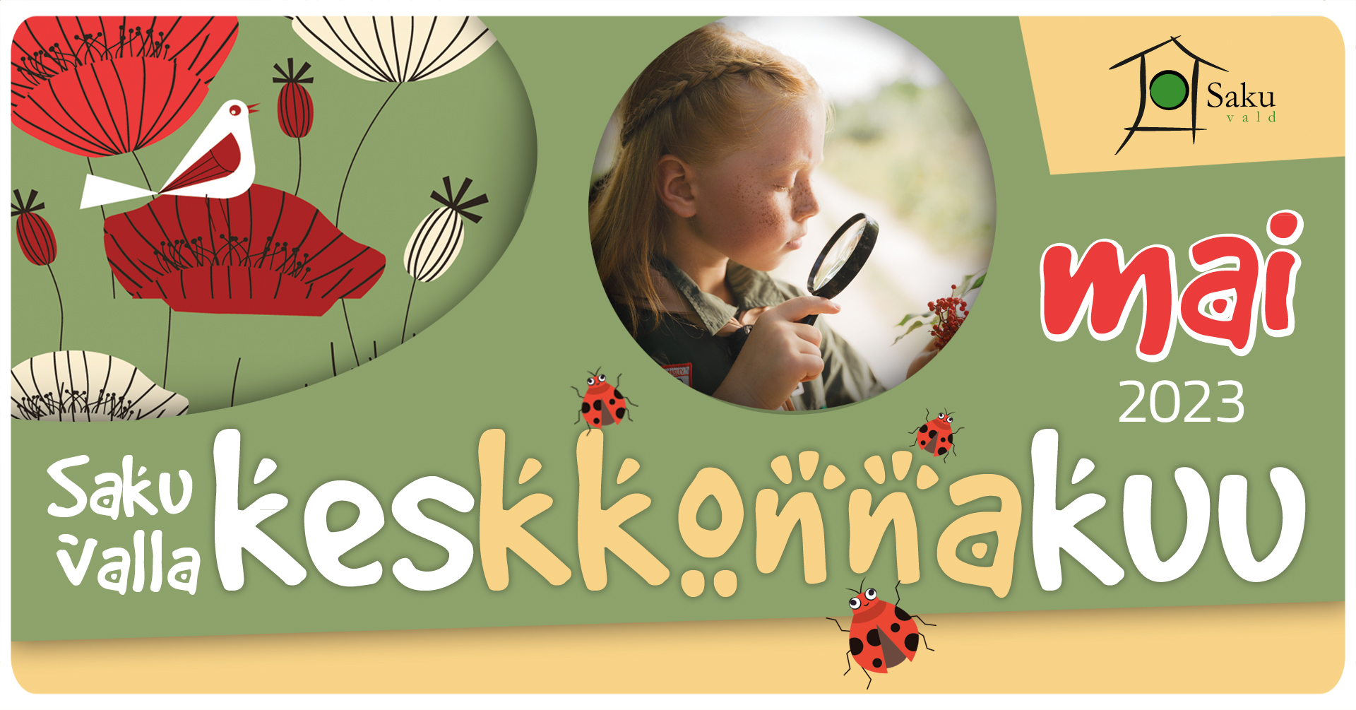 Foto, värviline tauts