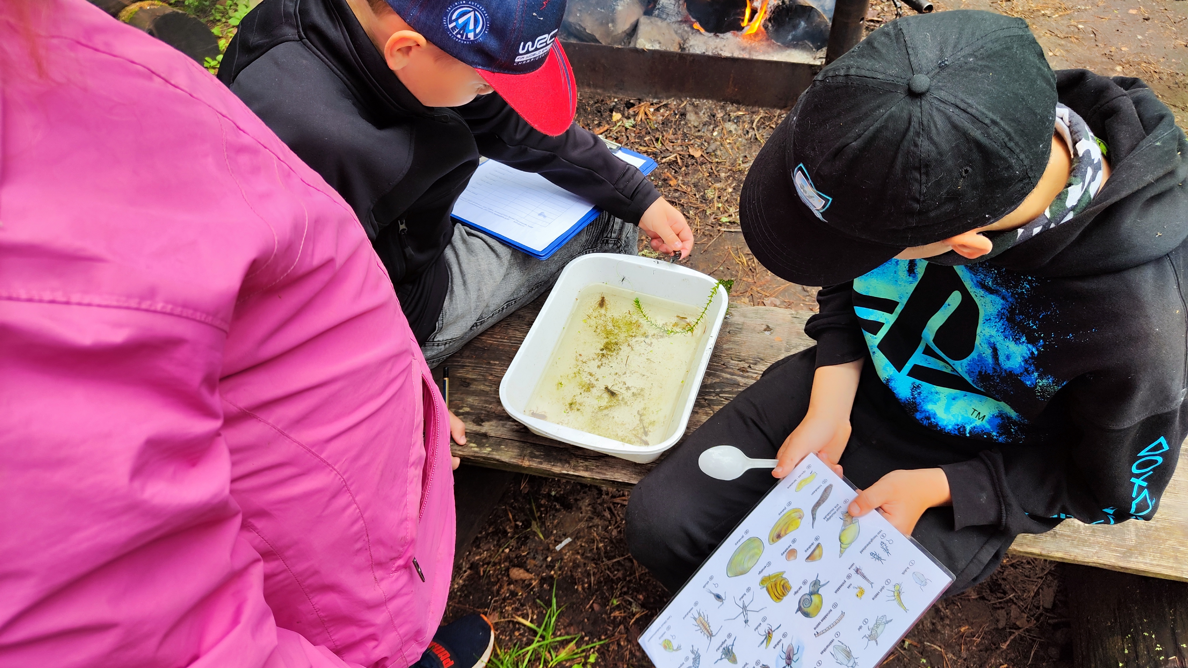 Vee-elanike uurimine ja määramine