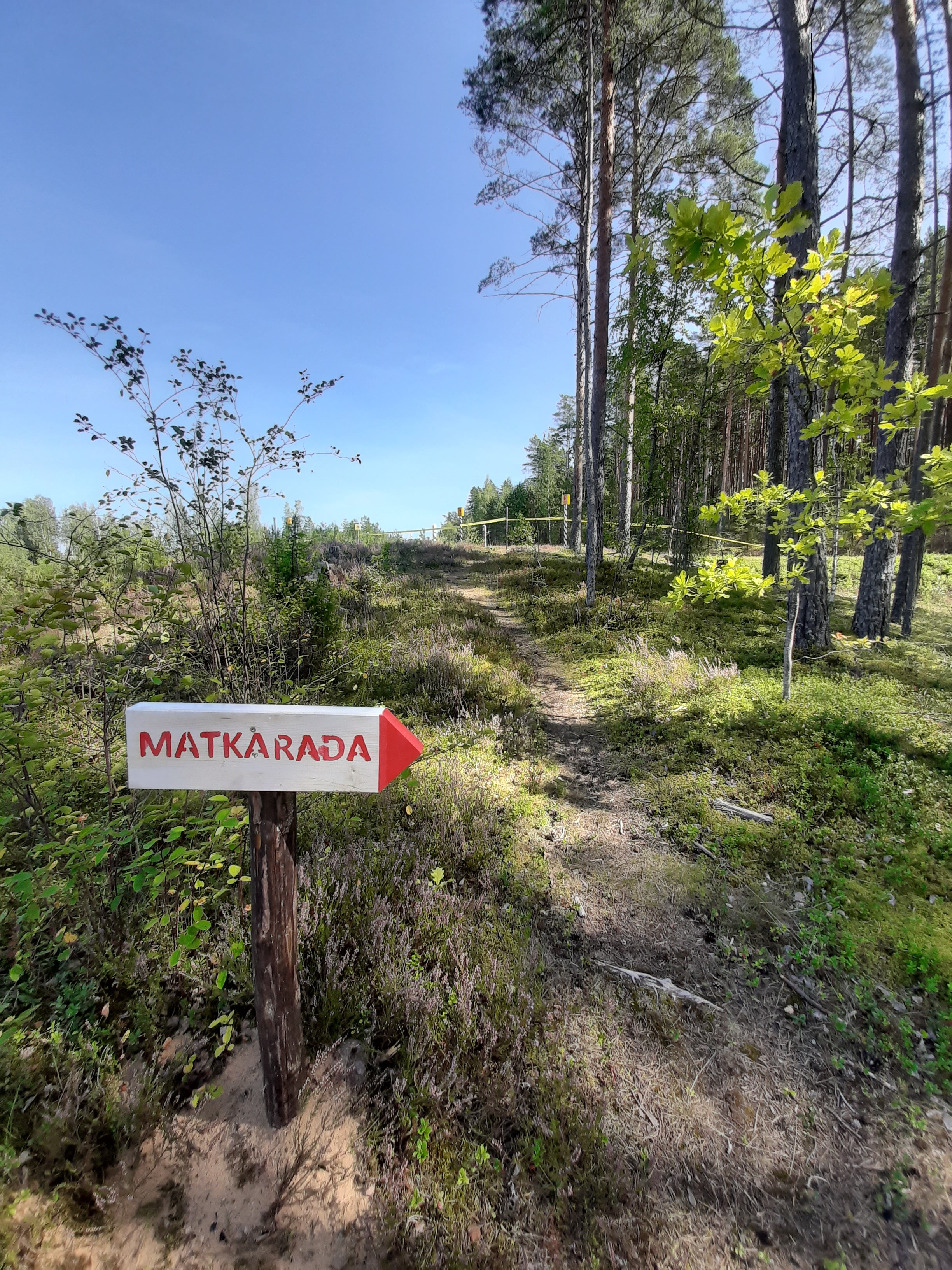 Programm võimaldab arendada õpilastes  vaatlemis- ja kirjeldamisoskust palumetsa kooslusest. Programmi käigus saab  kogeda kõigi meeltega väga erinevaid ja mitmekülgseid teadmisi ja põnevaid fakte palumetsa elustikust. Tutvustatakse metsa tähtsust inimese elus läbi aegade  seto kultuuri kontekstist. 