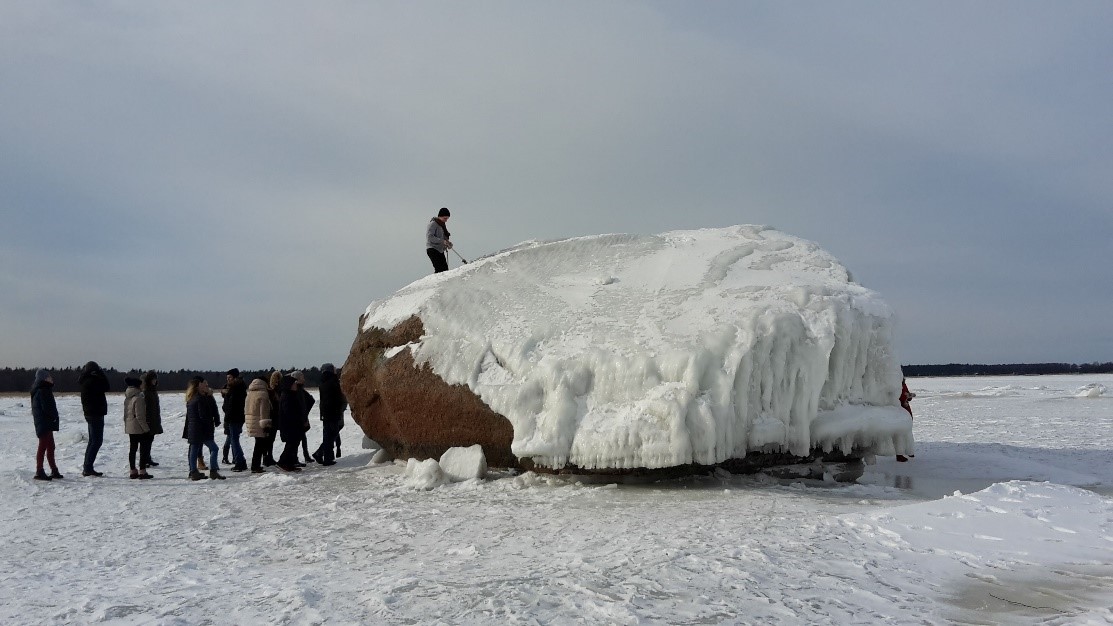 Avastuslik keskkonnapäev Sagadis ja Altjal