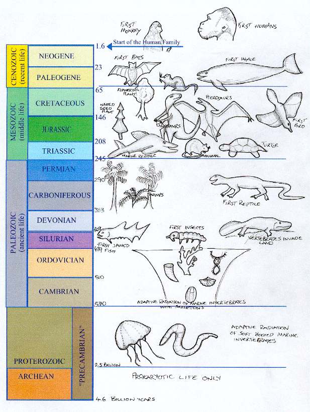 Pildil on ajastud ja tüüpilised eluslooduse rühmad, kes kindlal ajastul eksisteerisid või tekkisid