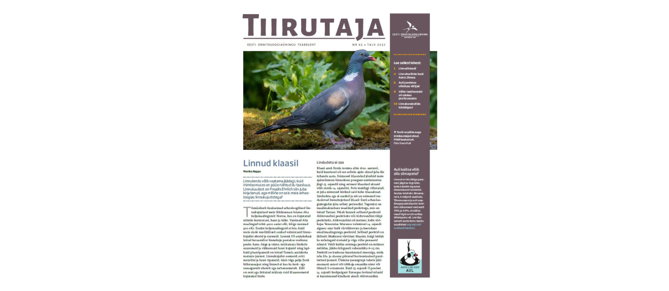 Teabelehe Tiirutaja nr 62 esikaas