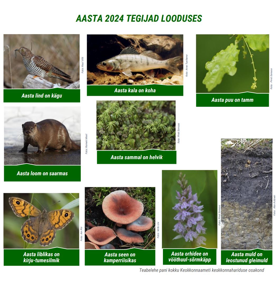 aasta tegijad looduses