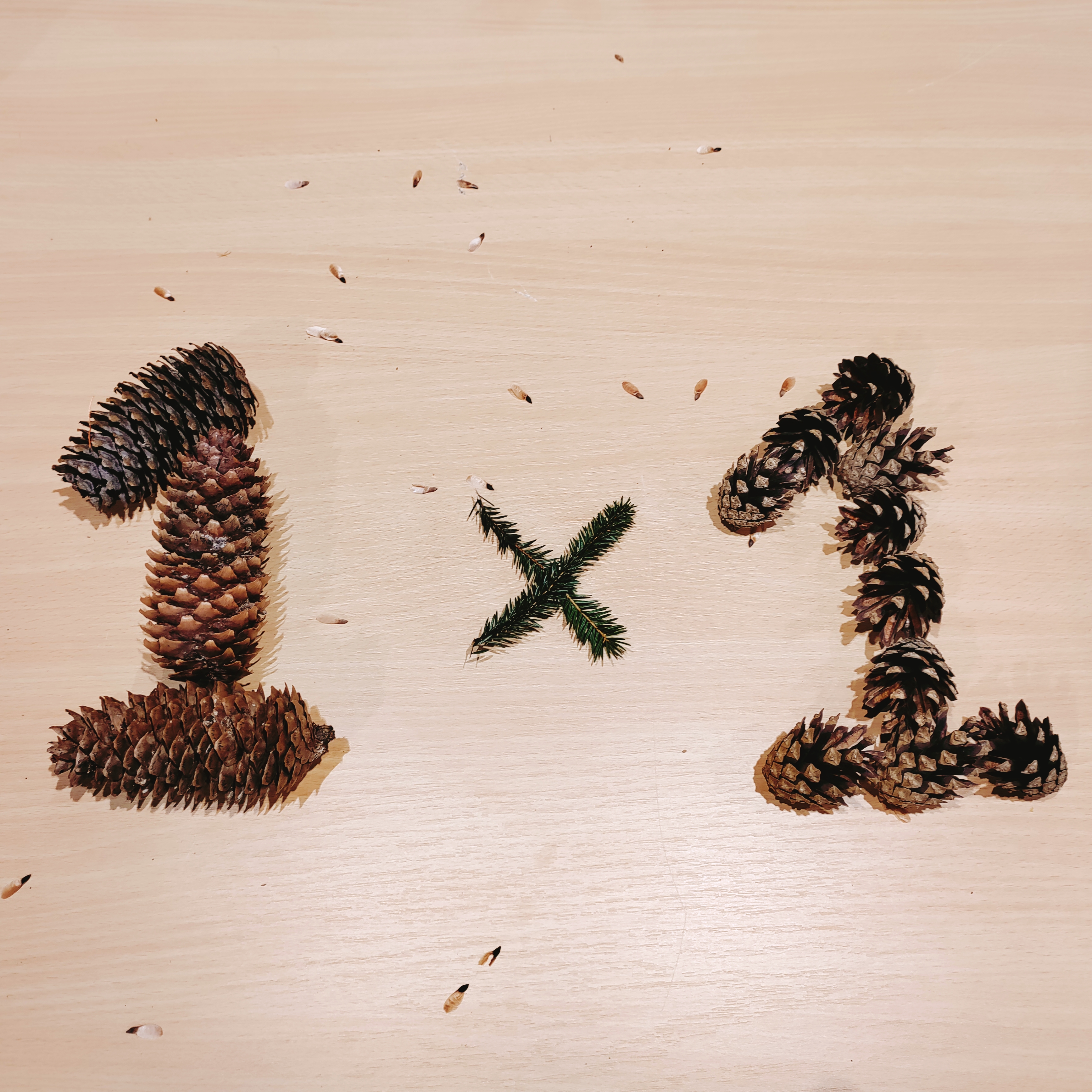 Kuivanud kuusekäbidest on laotud number üks korda üks