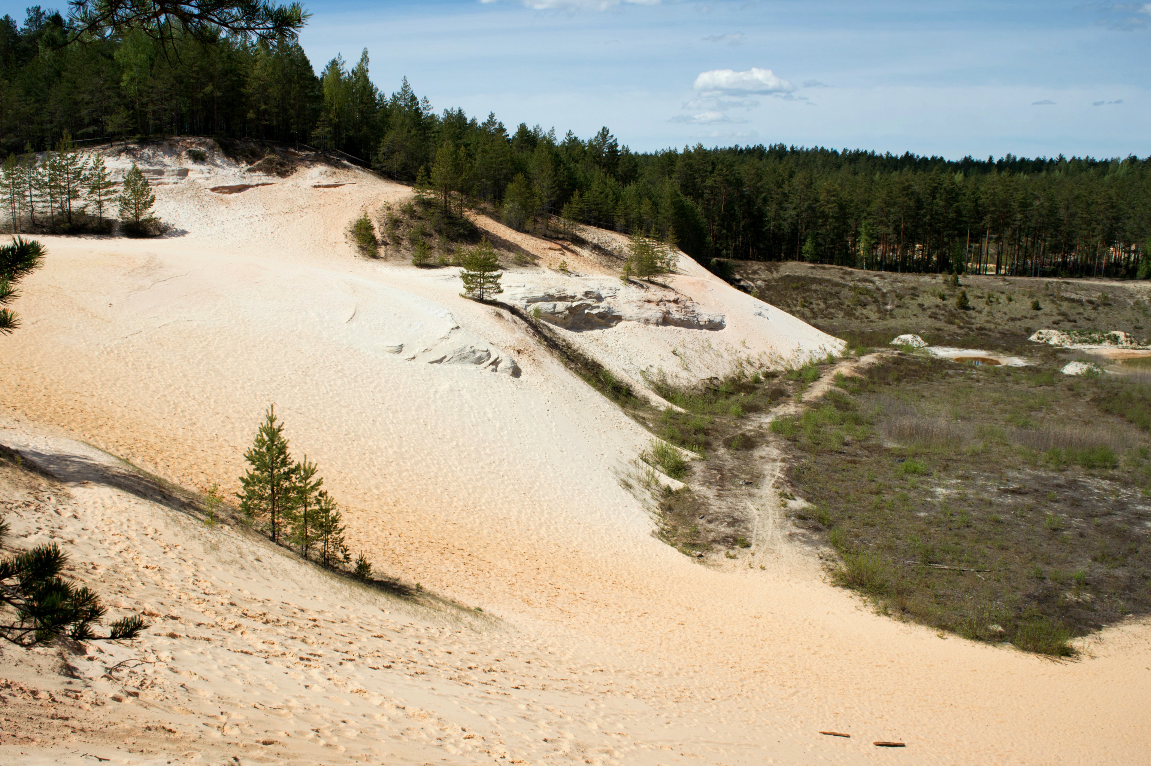 Piusa liivakarjäär