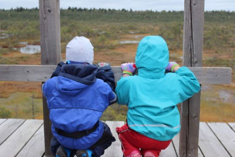 kaks last vaatavad rabas tornist alla, näha värviline rabamaastik