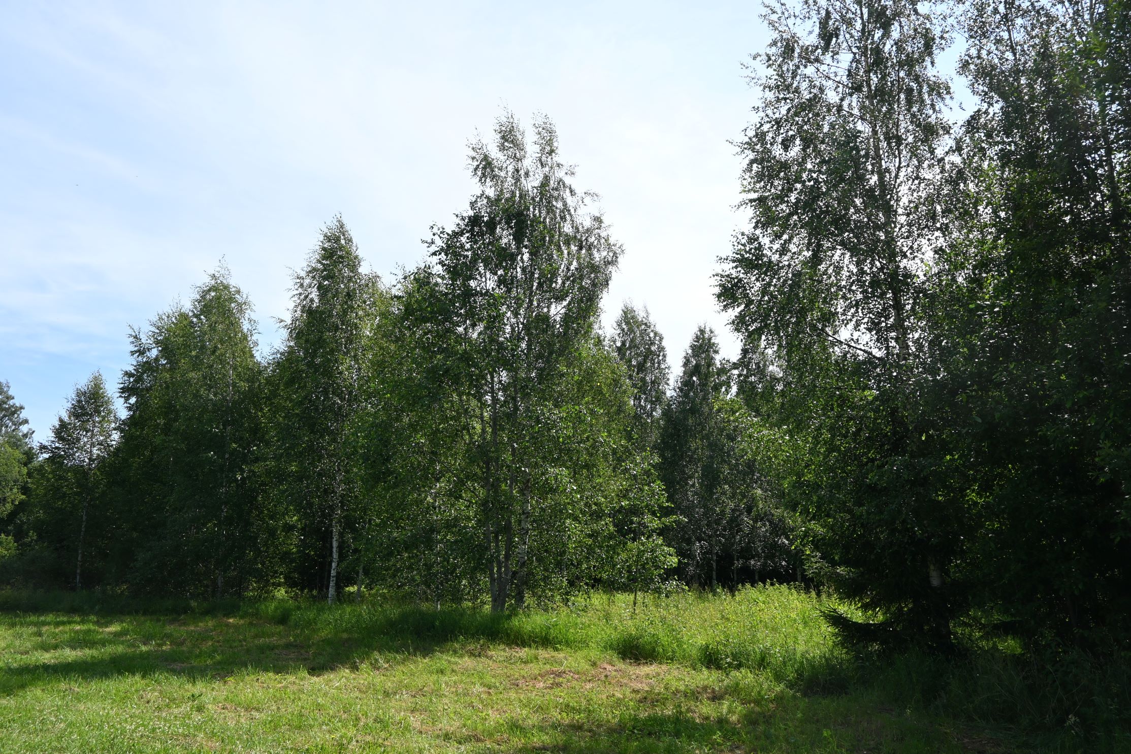 Loodushoiu õpiõu talumetsas Lääne-Virumaal (4.-6. kl)