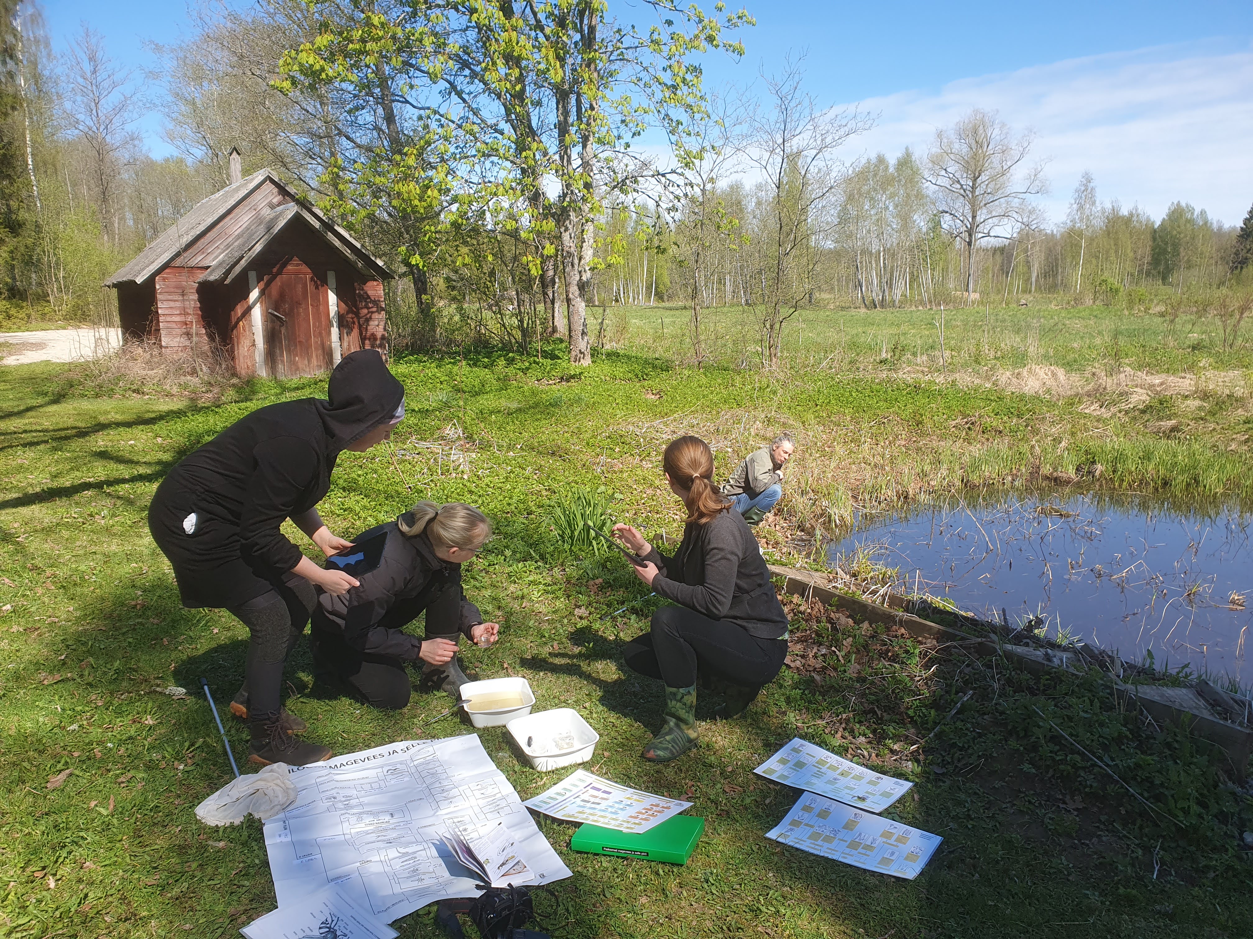 harrastusteaduste kursus