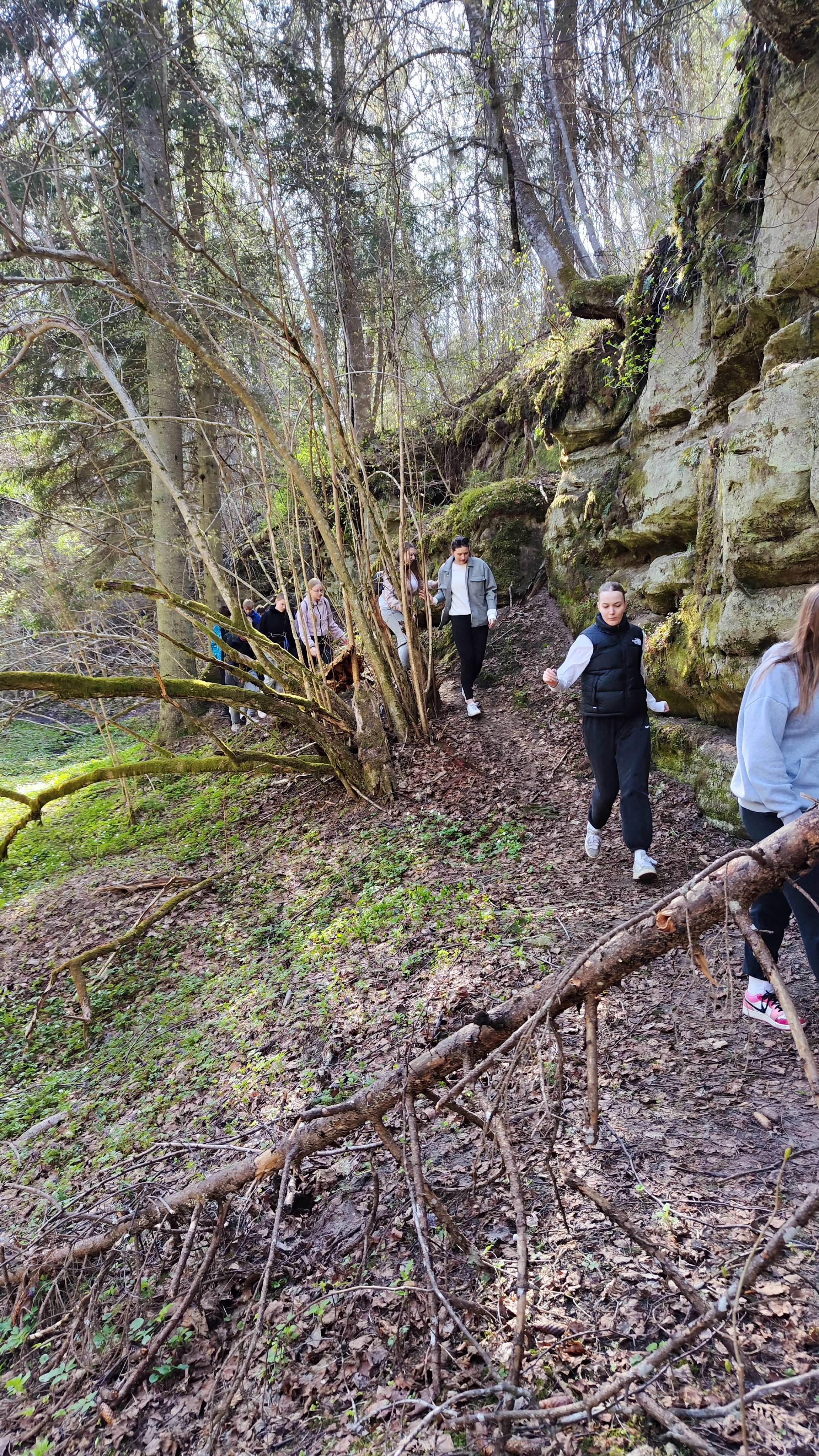 Liivakivi paljand Ubari MKA-l