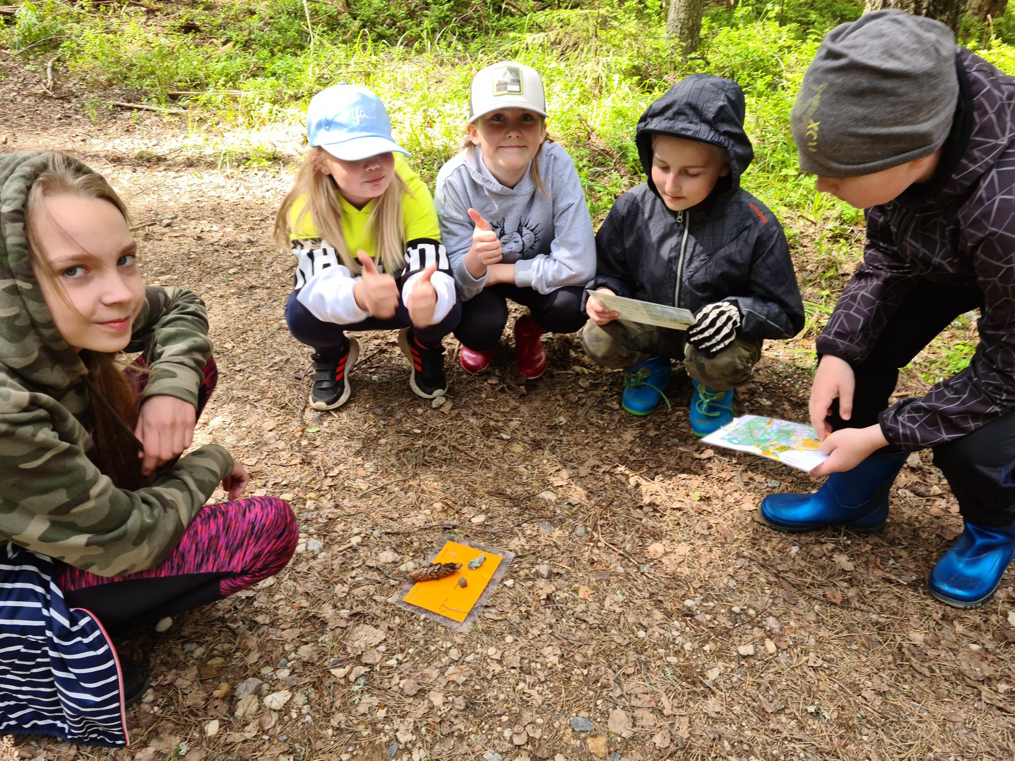 Metsaprogrammis tegevuspunkt