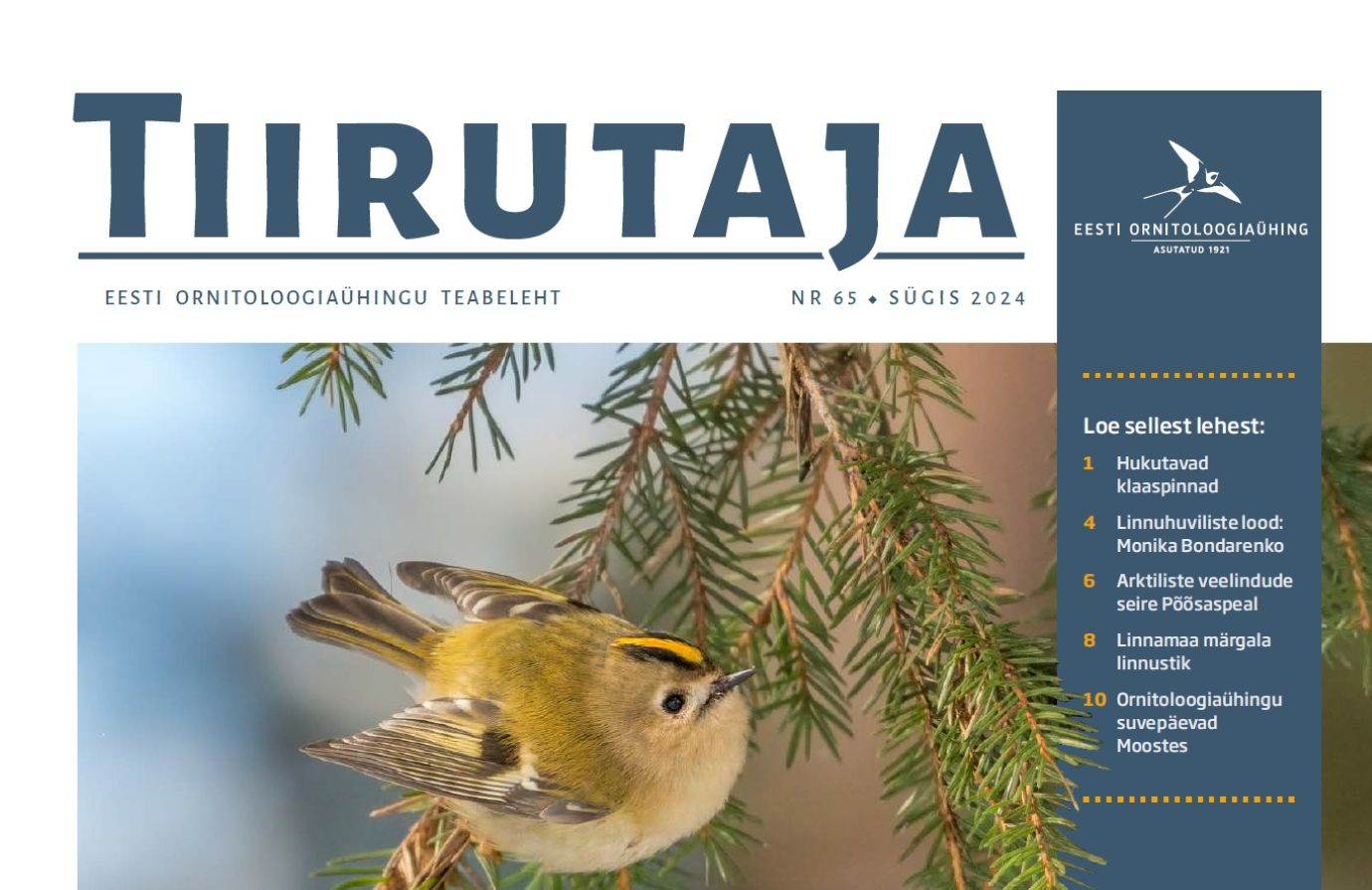 Teabelehe Tiirutaja nr 65 esikaane päis ja sisukord