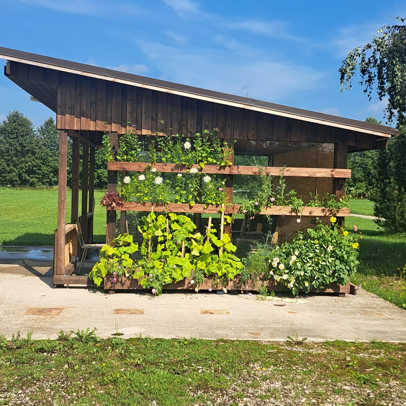 paviljon, mille seina katavad taimed