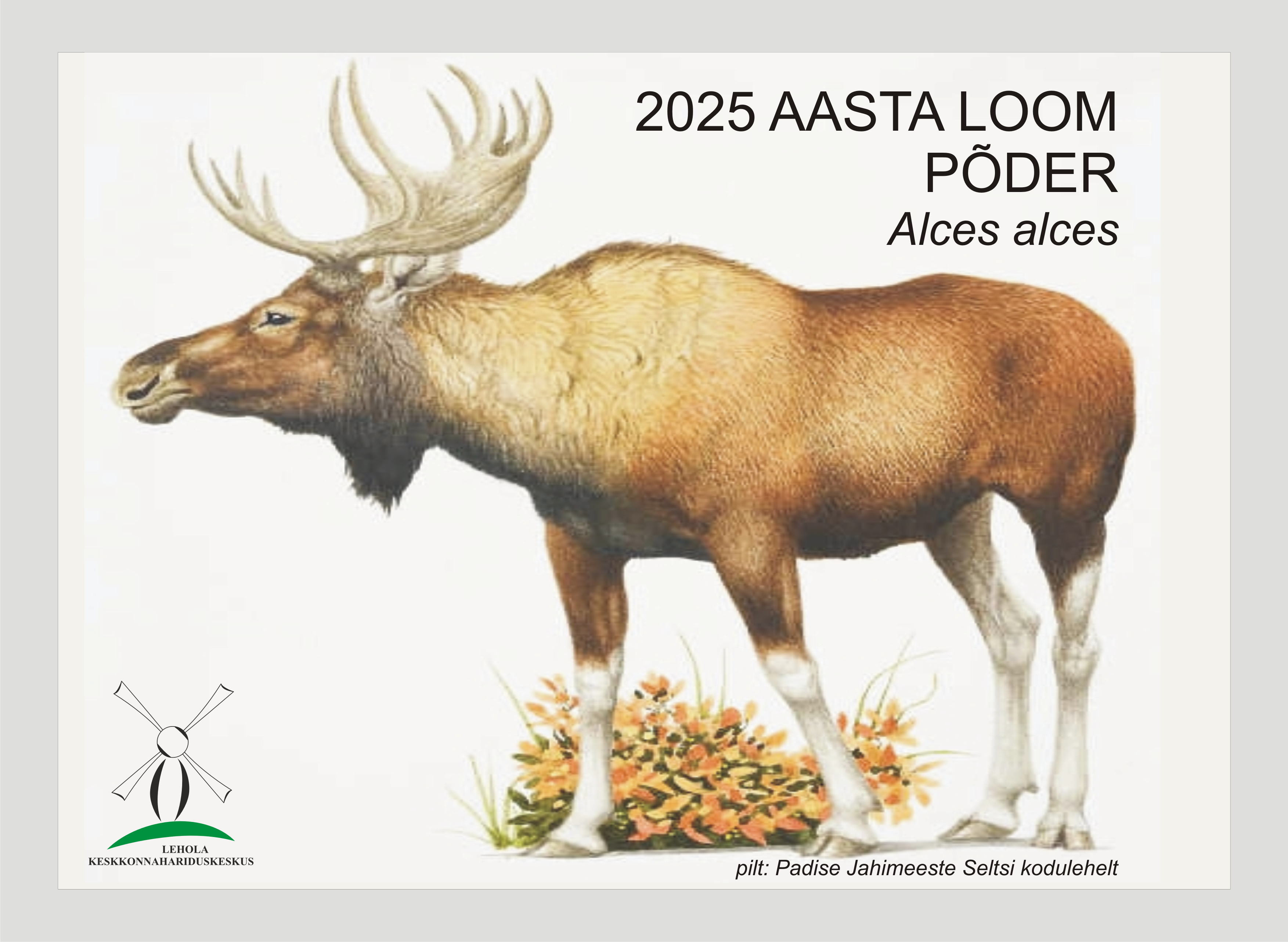 Aasta loom 2025