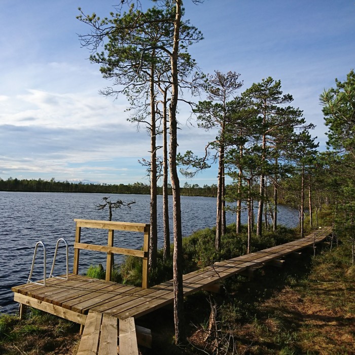 Suvises rabas mändide vahelt järve äärest kulgeb laudtee ja järve ääres on ujumiskoht rabajärves, vette saab minna redeliga