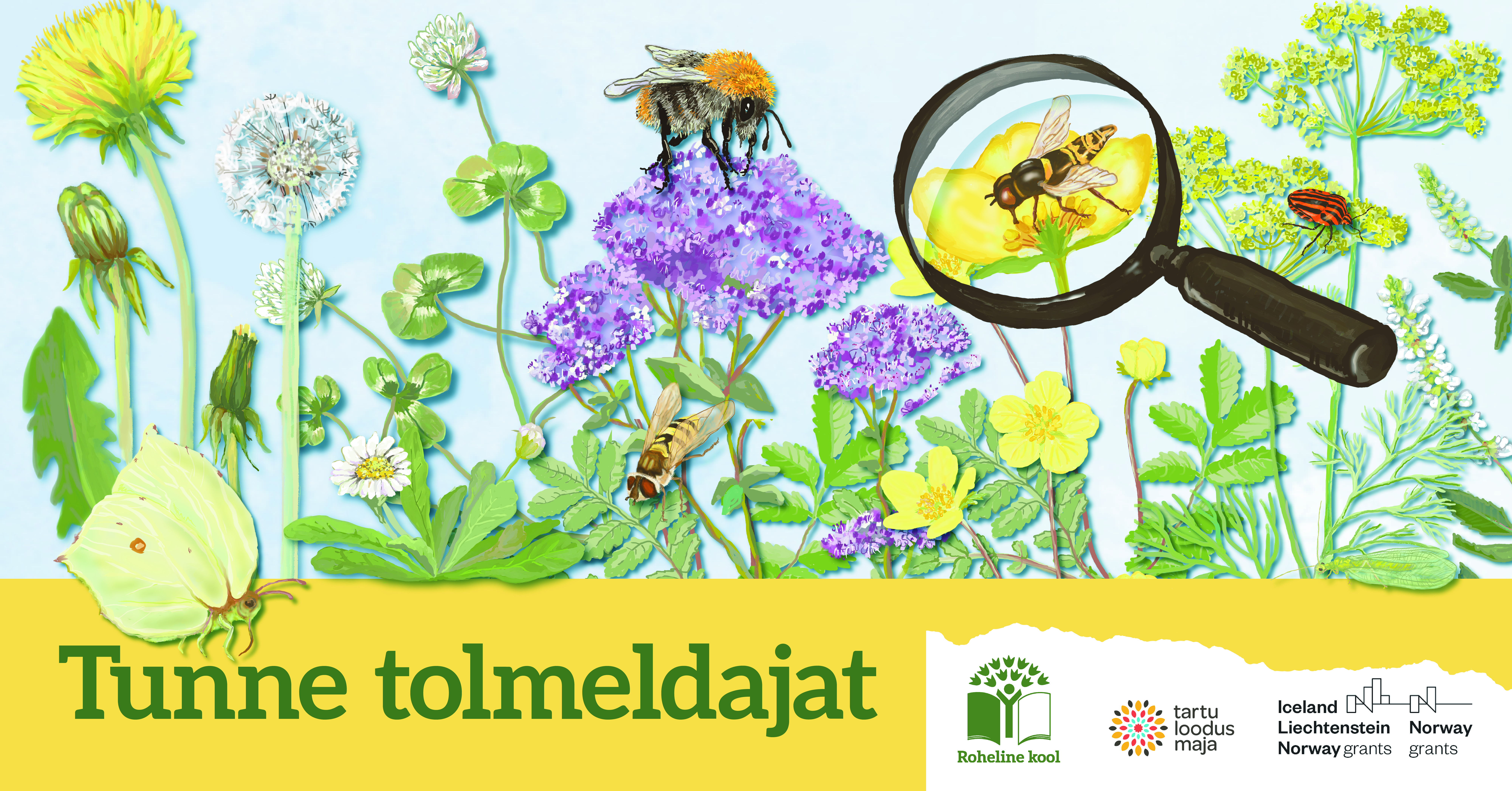 tunne tolmeldajat