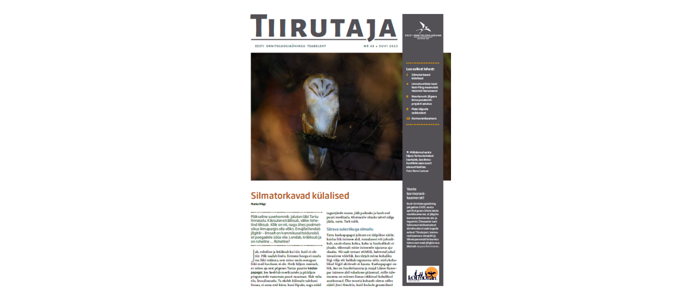 Teabelehe Tiirutaja nr 68 esikaas