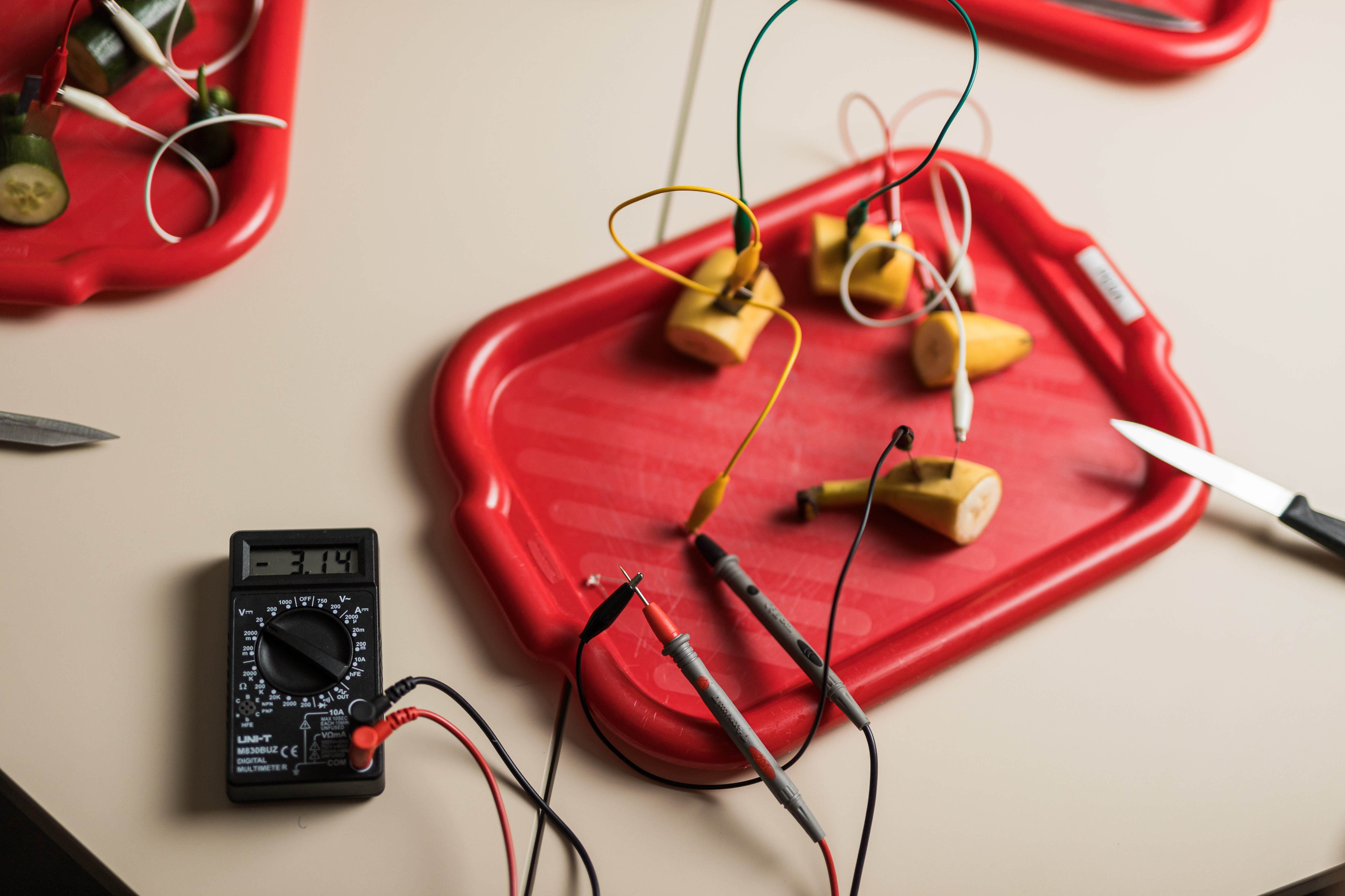 Puu- ja köögiviljapatarei ehitamine