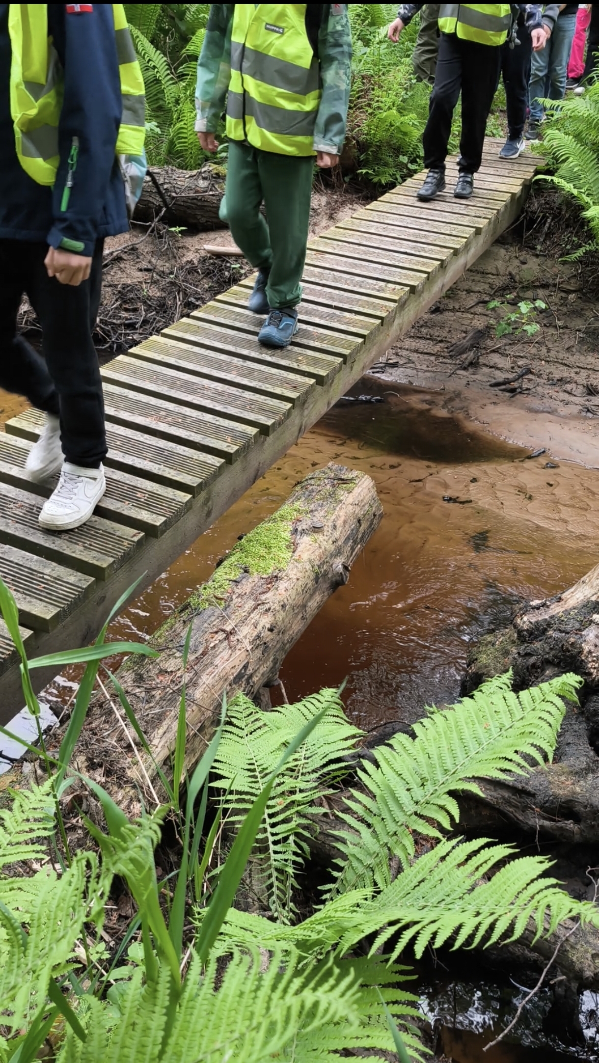 Kaberla oja ületamine