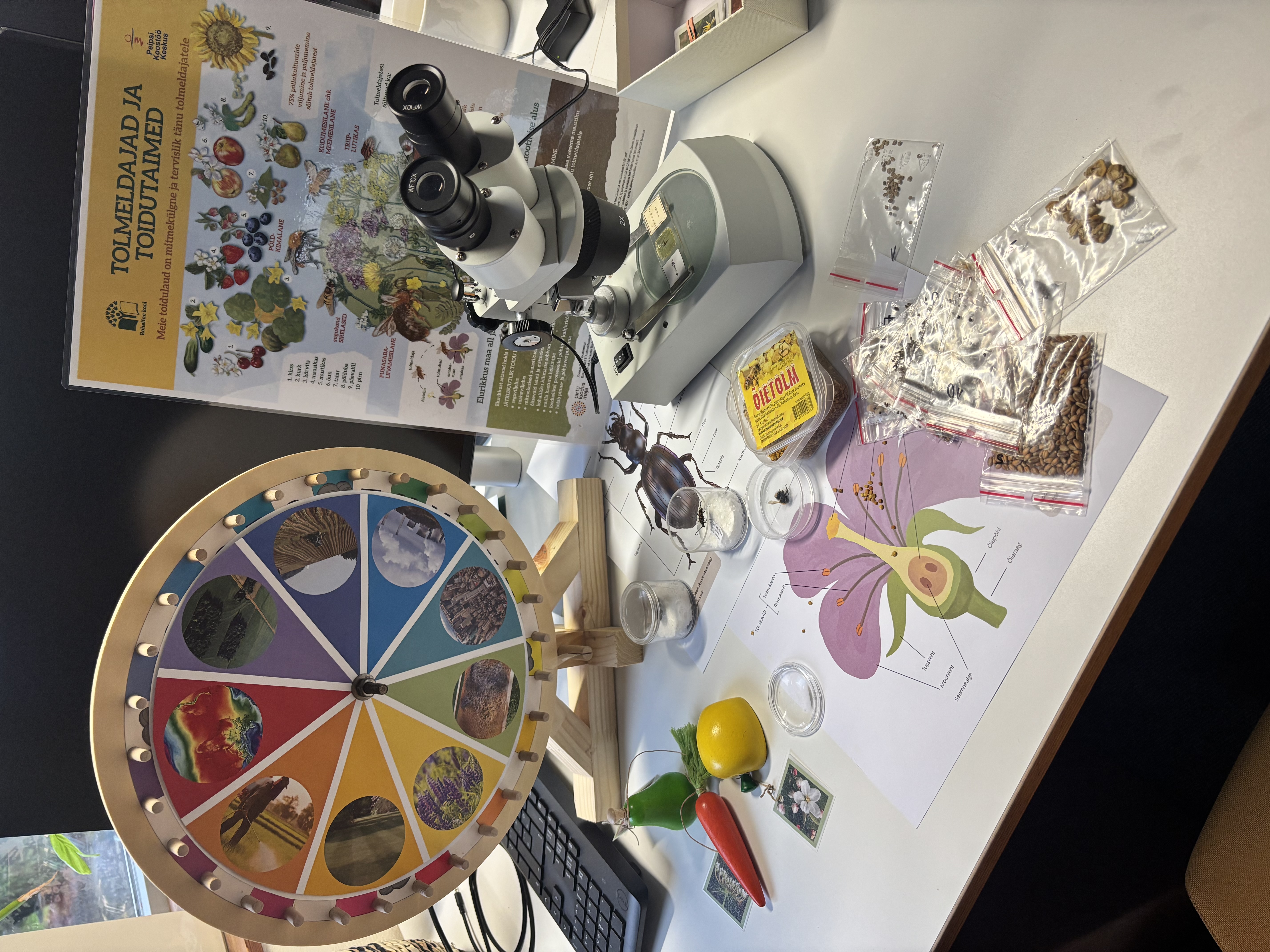 Tolmeldajad ja toidutaimed