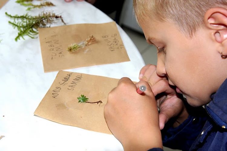 Samblaraamatute valmistamine