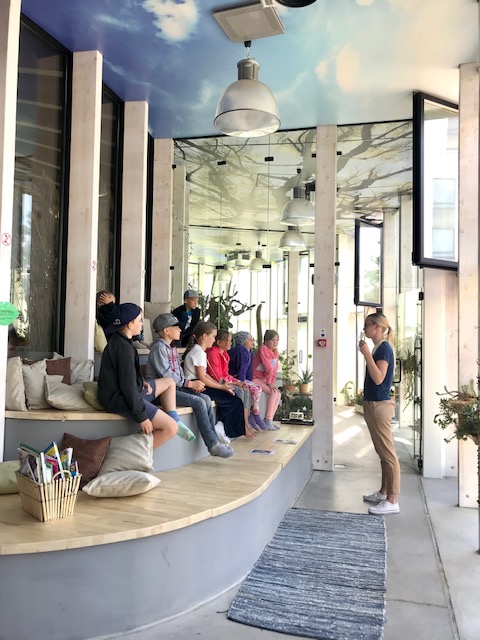 Seemnest kasvab taim