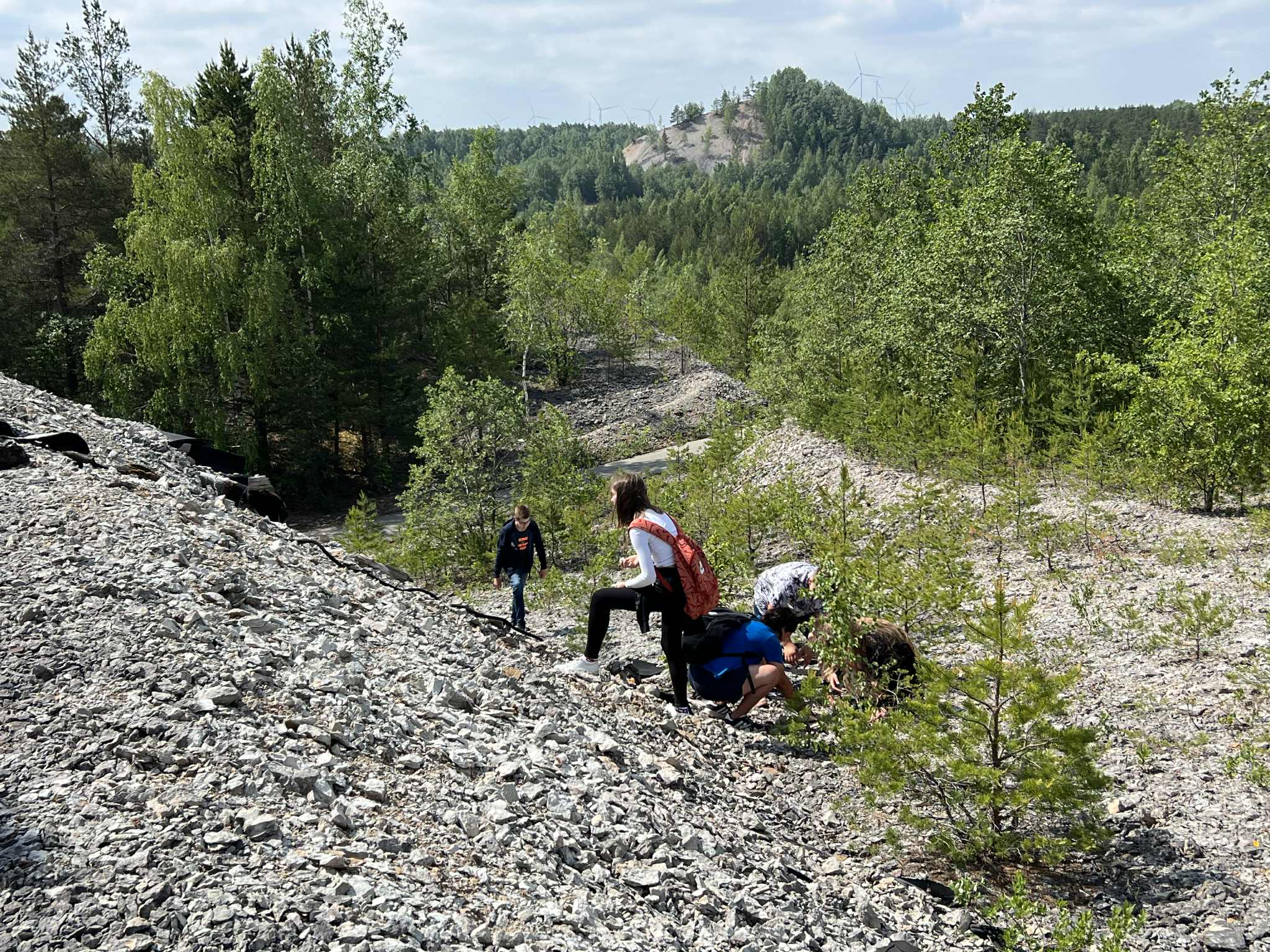 Õppeprogramm aherainemäel