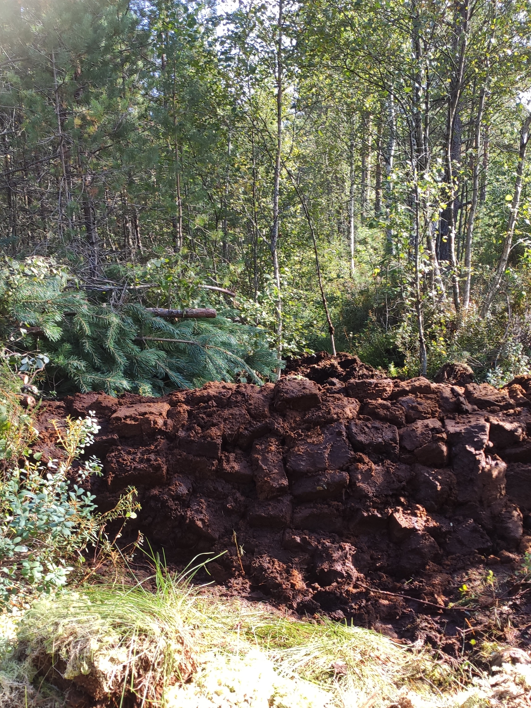 Raba taastamistööd