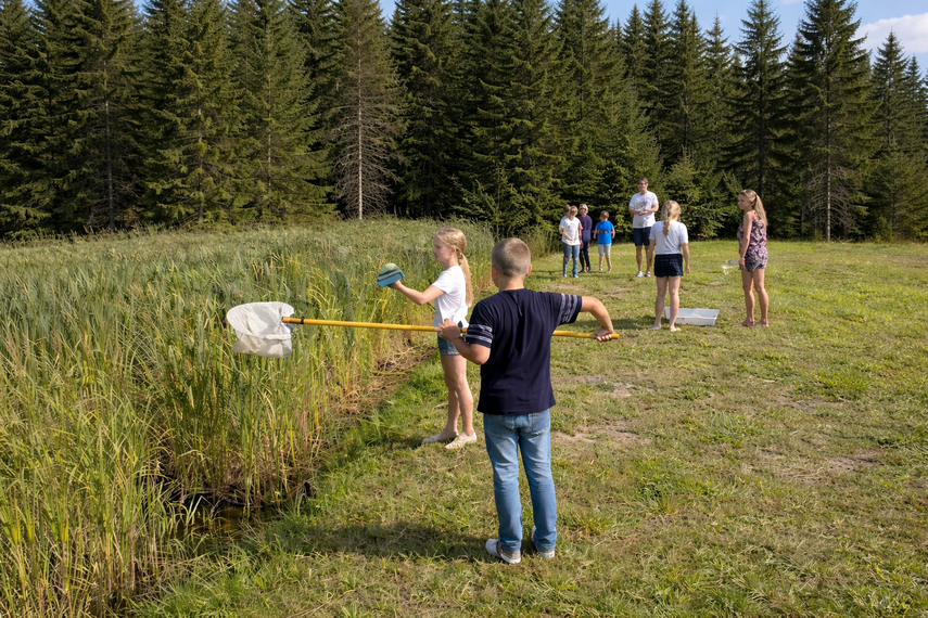 Vee-selgrootute uurimine