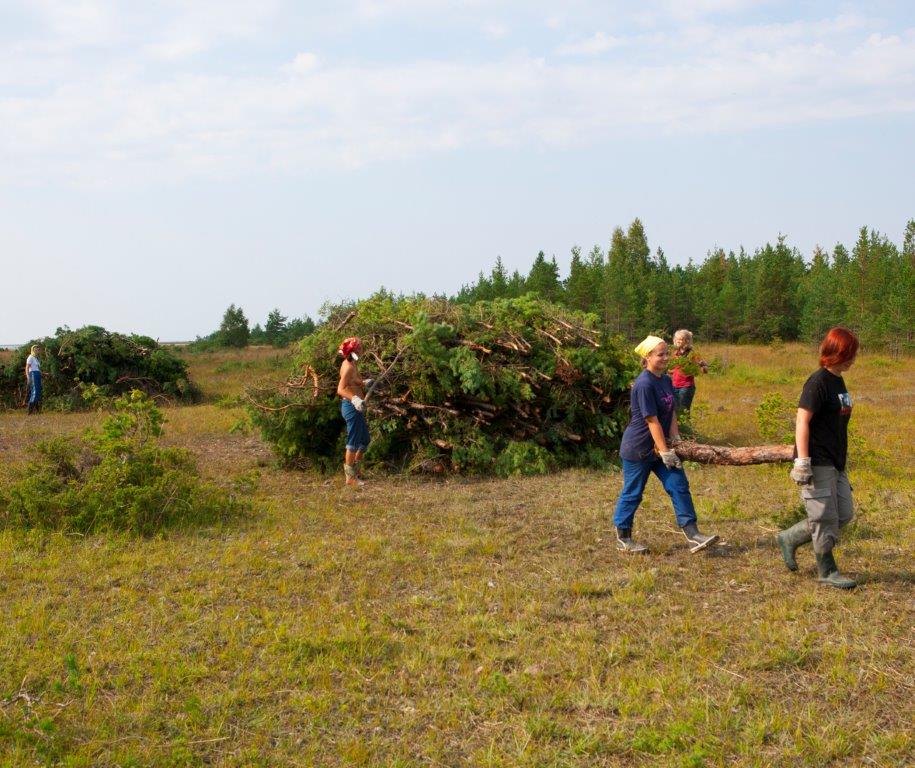 Talutööd metsas
