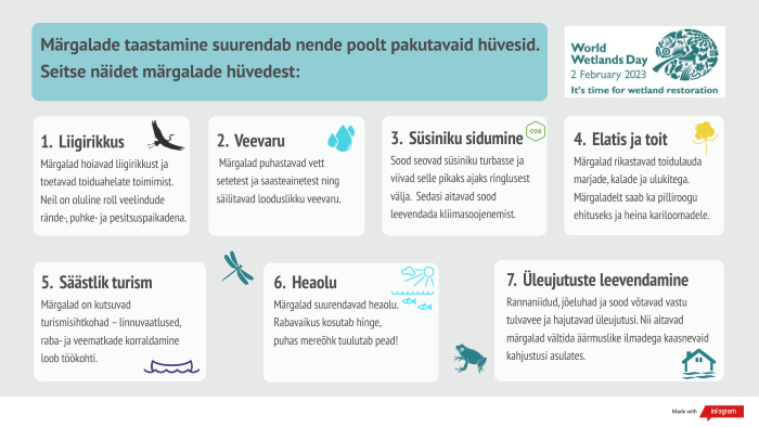 7 näidet märgalade hüvedest