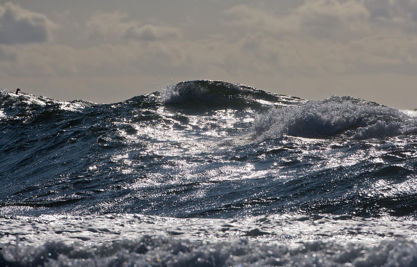 Avameri Foto Arne Ader