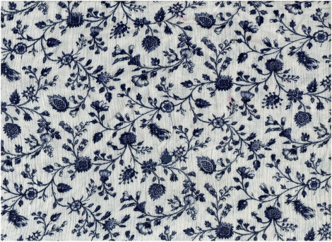 Siniste lilledega kangas, paigatud, kuid seda pole näha