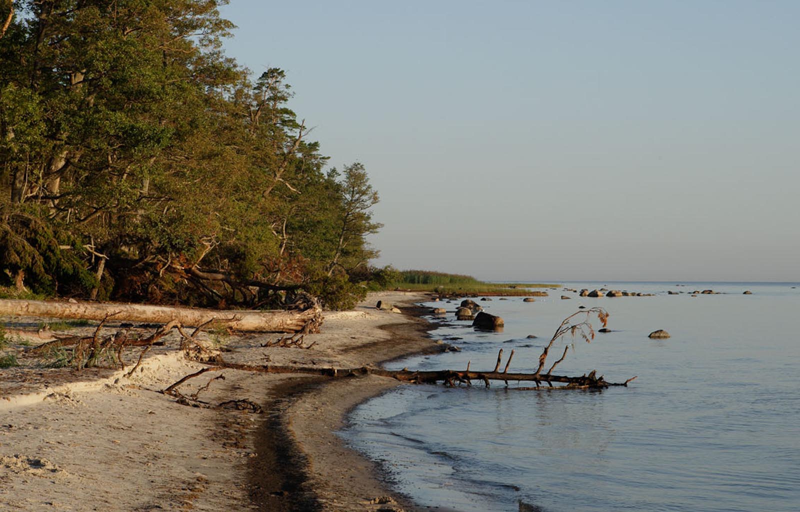Rannikumeri Foto Arne Ader
