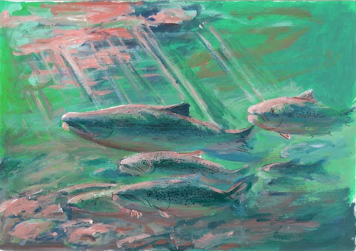 maalitud ujuvad lõhed