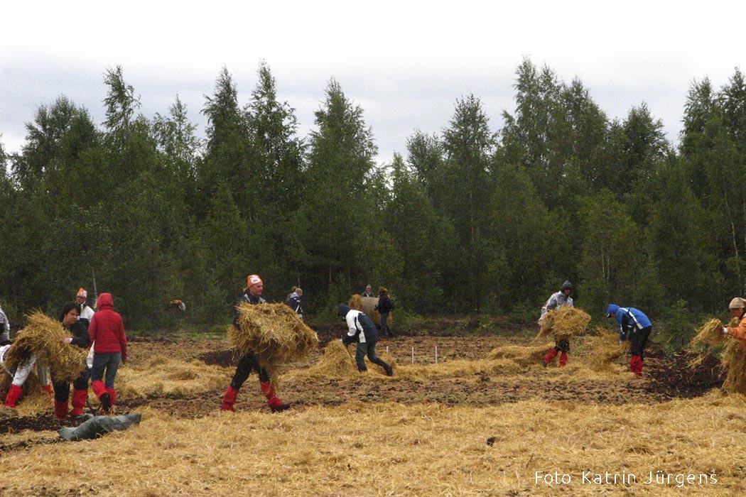 Soode taastamine Katrin Jürgens