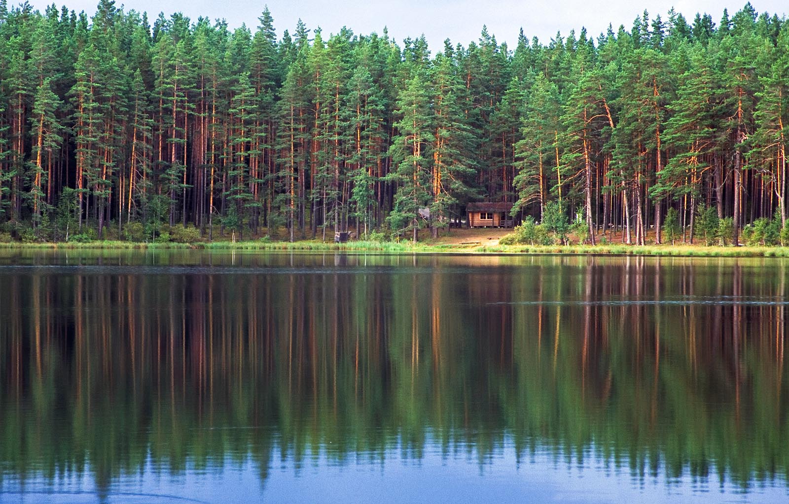 Vähetoiteline järv Foto Arne Ader