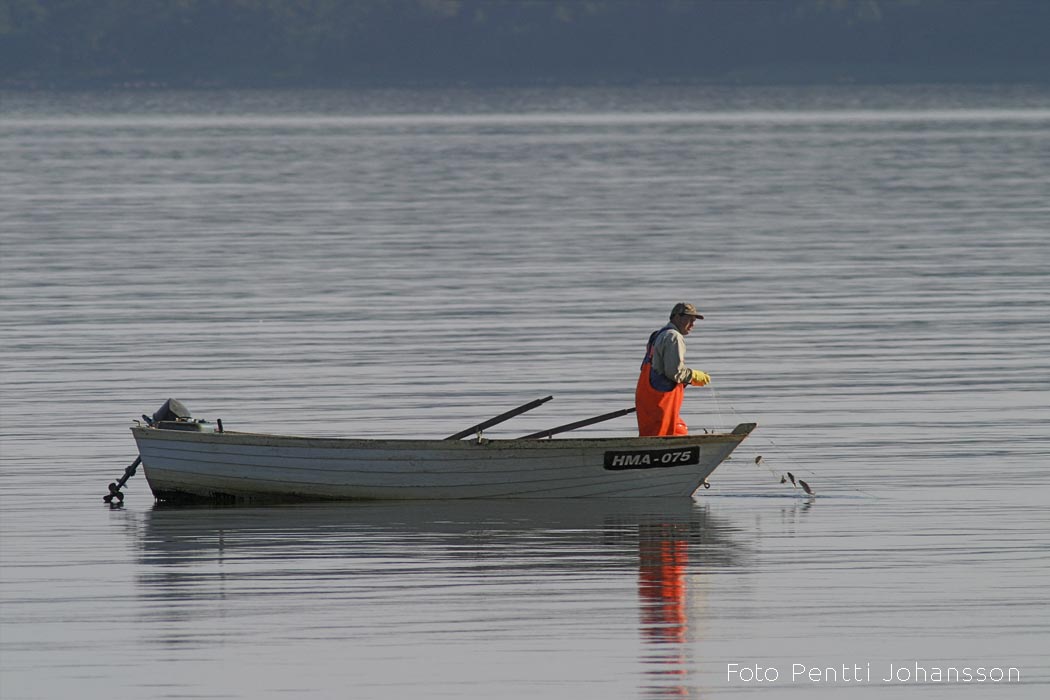 Rannakalurid Pentti Johansson