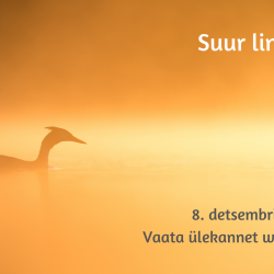 Tuttpütt vees ujumas