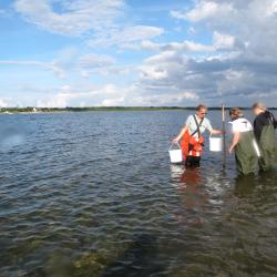 Läänemere veebiviktoriini auhinnad