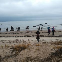 Käsmu randa õppekäik