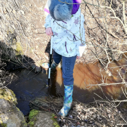 keskkonnaalaste uurimistööde konkurss