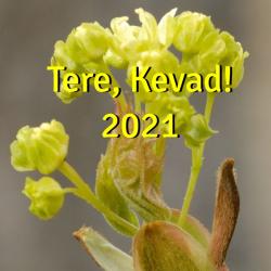 tere kevad