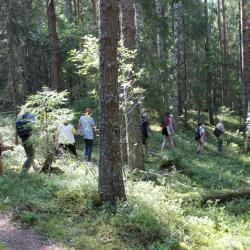 Karula rahvuspargis Peräjärve matkarajal