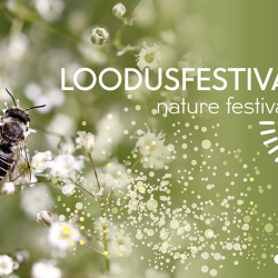 loodusfestival